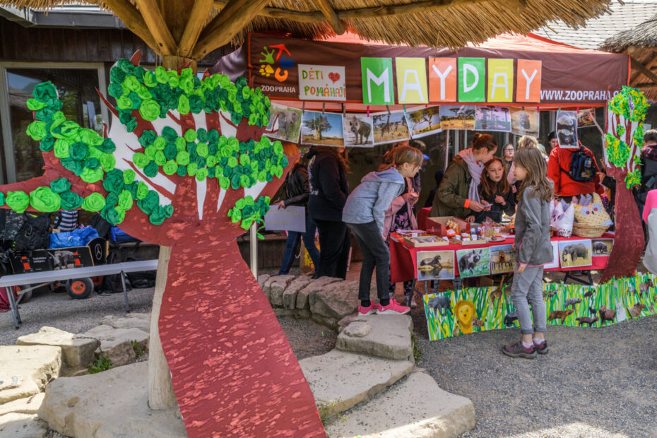 Akce MayDay navazuje na principy projektu Roots &amp; Shoots slavné ochránkyně přírody Jane Goodall. Program vede mladé lidi k aktivnímu a každodennímu zapojení do ochrany přírody. 