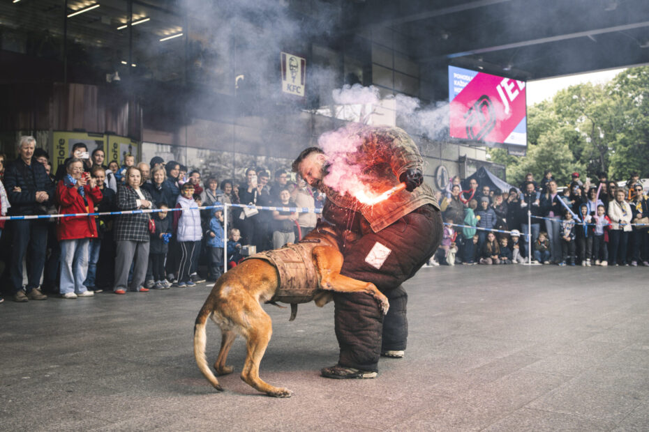 Služební psi ukázali, že je lepší se s nimi nepouštět do křížku. 