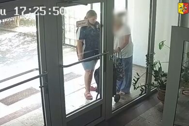 Žena zachycená na kamerovém záznamu krátce po nehodě hovoří se zraněnou seniorkou u vstupu do domu. Policie ji považuje za důležitou svědkyni a žádá veřejnost o pomoc s jejím ztotožněním.