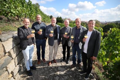 Vinobraní na Grébovce připomíná dlouhou vinohradnickou tradici této části Prahy. Letos se uskuteční 18. a 19. září, přičemž hlavní sobotní program v Havlíčkových sadech může přilákat až 25 tisíc návštěvníků.