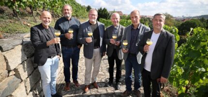 Vinobraní na Grébovce připomíná dlouhou vinohradnickou tradici této části Prahy. Letos se uskuteční 18. a 19. září, přičemž hlavní sobotní program v Havlíčkových sadech může přilákat až 25 tisíc návštěvníků.